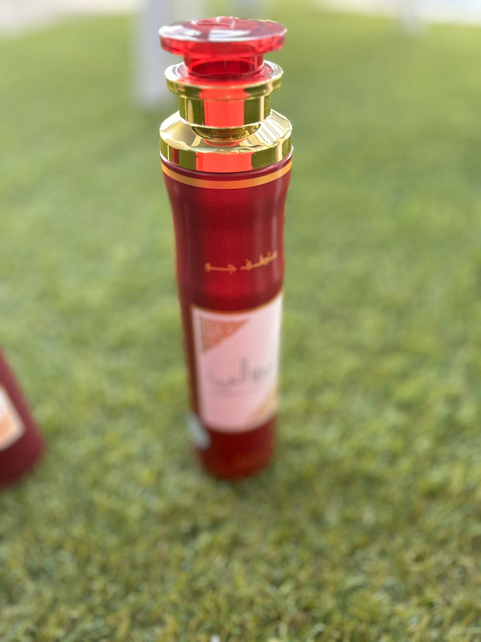 Ambientador de princesa de arabia